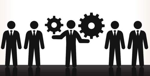 软件开发视角下的企业管理健康度评估与优化策略