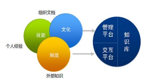 从碎片到体系 企业知识管理的系统化路径与软件开发实践